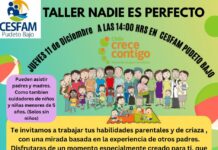 Taller: «Nadie es Perfecto». Jueves 11 de diciembre 14:00 hrs., CESFAM PUDETO BAJO