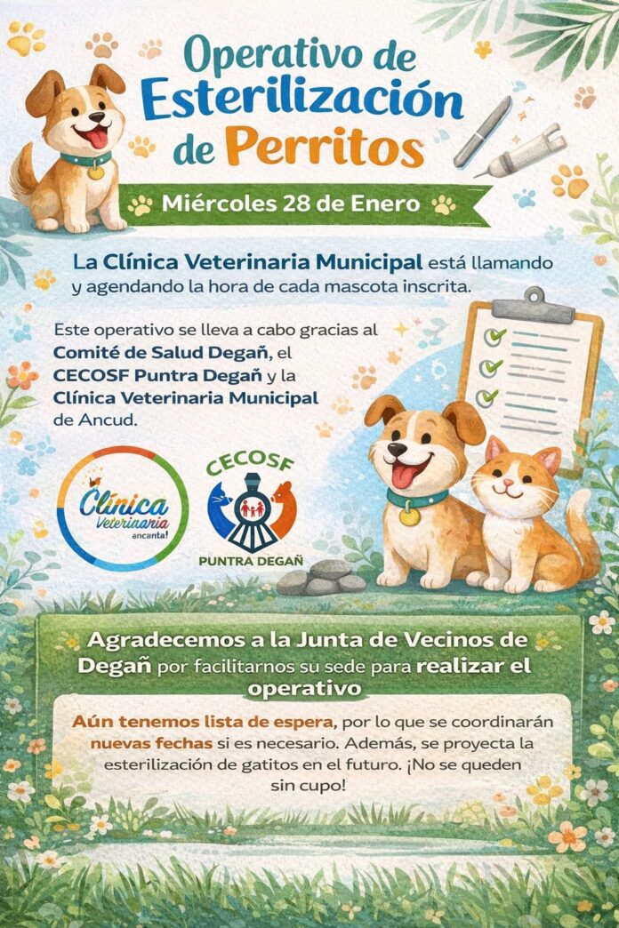 617225813_1224435976294935_7644672306536209621_n (1)